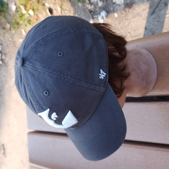 Wisconsin La Crosse Eagles Icon Officially Licensed Adjustable Baseball Hat S - Picture 3 of 11